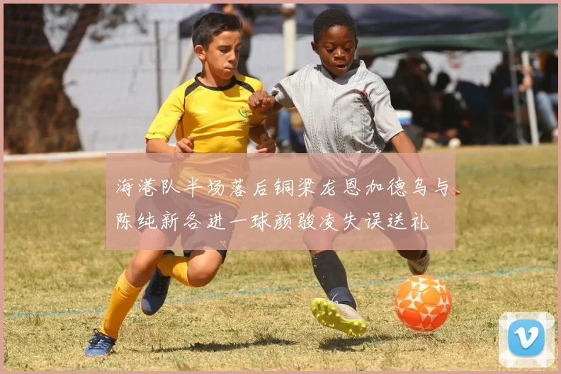 海港队半场落后铜梁龙恩加德乌与陈纯新各进一球颜骏凌失误送礼